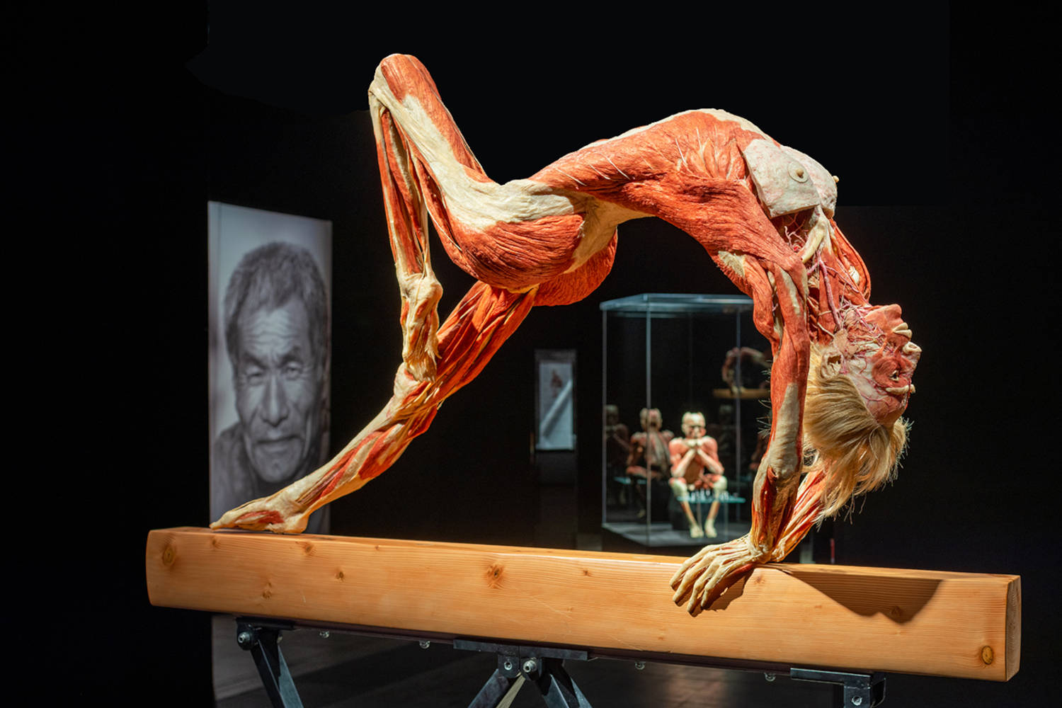 Combi Historium & Body Worlds